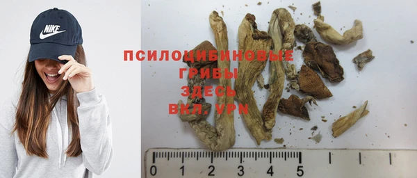 кокс Богданович