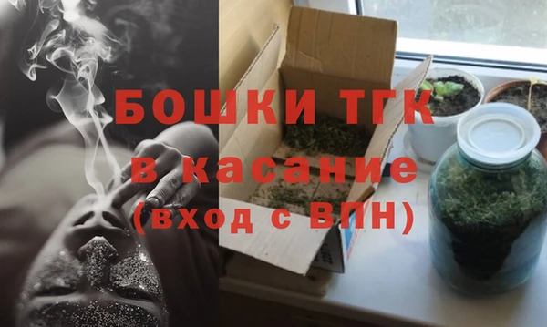 МДПВ Богородицк